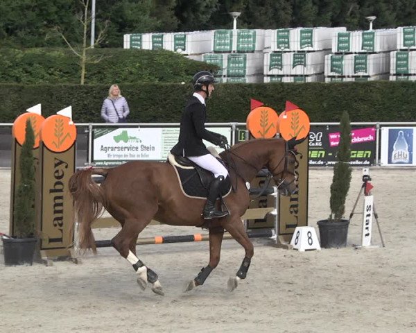 Reitturnier Durmersheim-Hardt 2021