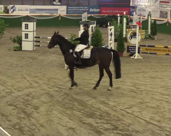 Reitturnier Keppeln 2018