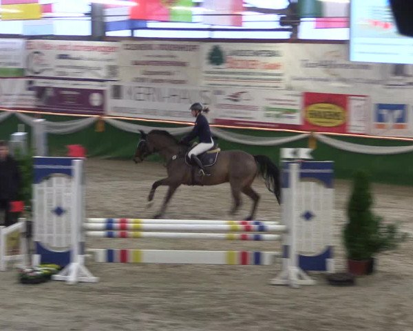 Reitturnier Keppeln 2018