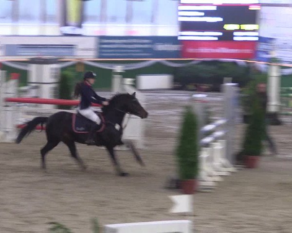 Reitturnier Keppeln 2018