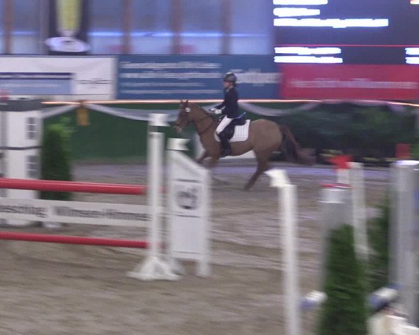 Reitturnier Keppeln 2018