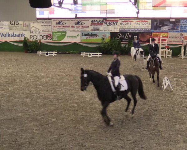 Reitturnier Keppeln 2018