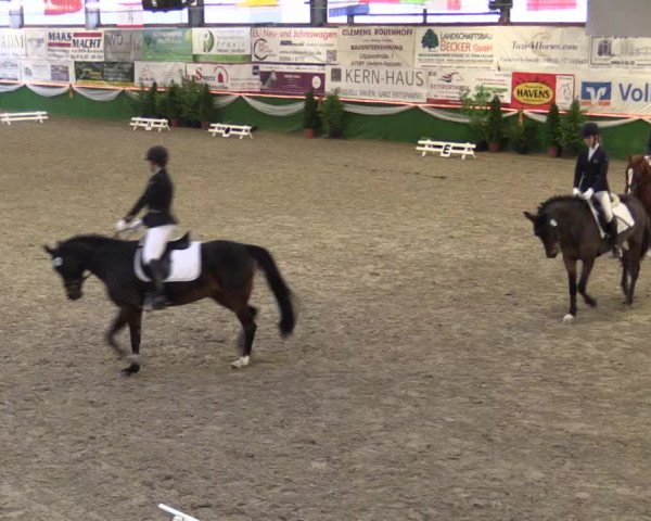 Reitturnier Keppeln 2018