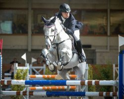 jumper Corradino (Holsteiner, 1999, from Corrado I)