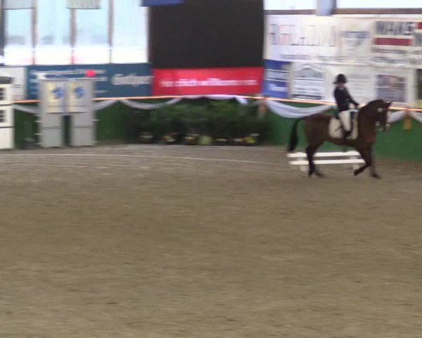 Reitturnier Keppeln 2018
