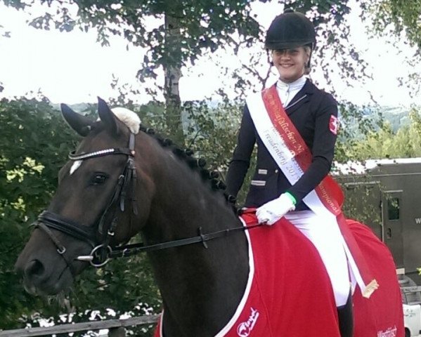 dressage horse Lifestyle 63 (Hanoverian, 2008, from Lauries Crusador xx)