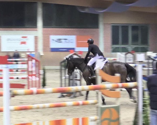 Reitturnier Heiden 2018