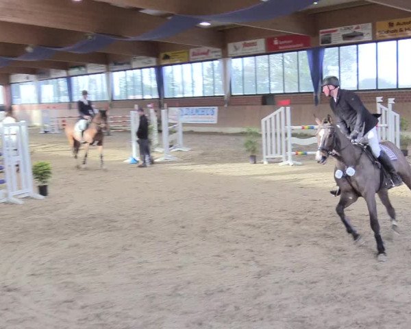 Reitturnier Heiden 2018