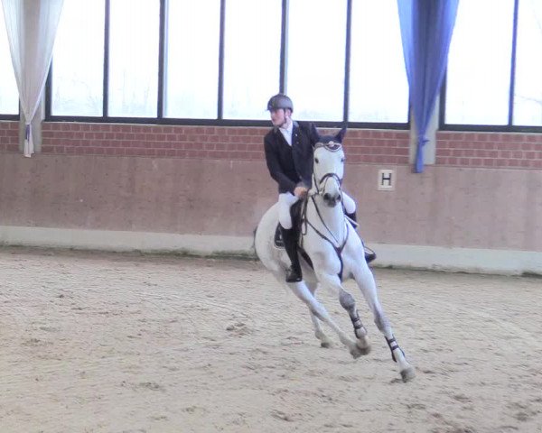 Reitturnier Heiden 2018