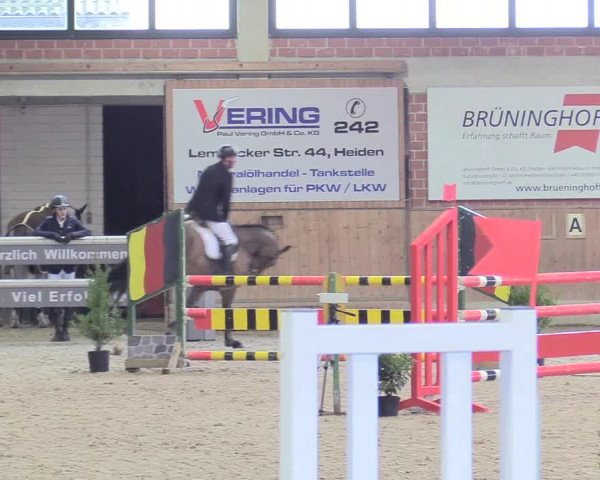 Reitturnier Heiden 2018