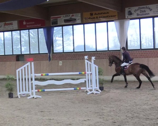 Reitturnier Heiden 2018