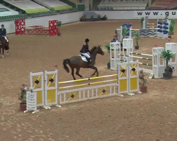 Reitturnier Kreuth 2018