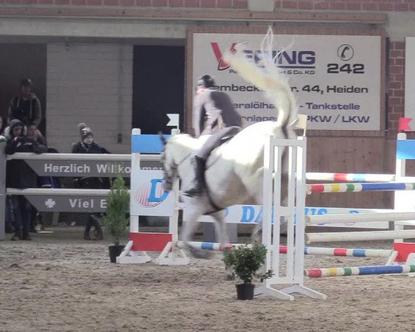 Reitturnier Heiden 2018