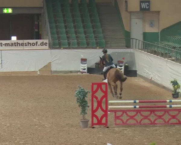FEI Reitturnier Kreuth (GER) 2018