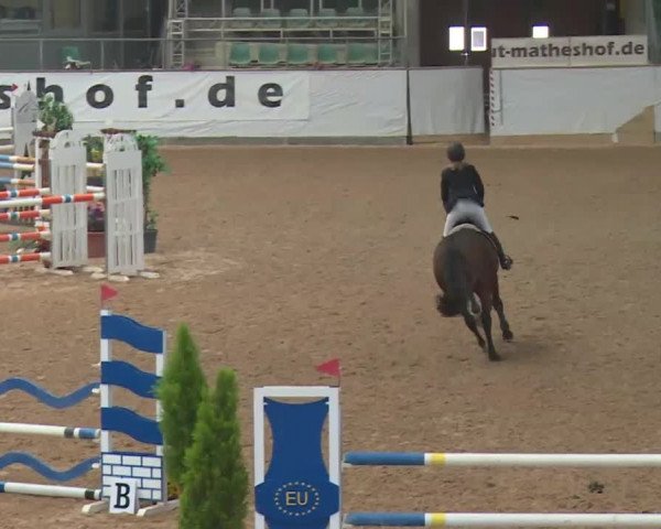 FEI Reitturnier Kreuth (GER) 2018