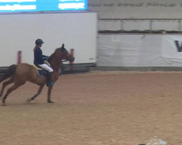 FEI Reitturnier Kreuth (GER) 2018
