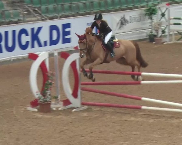 FEI Reitturnier Kreuth (GER) 2018