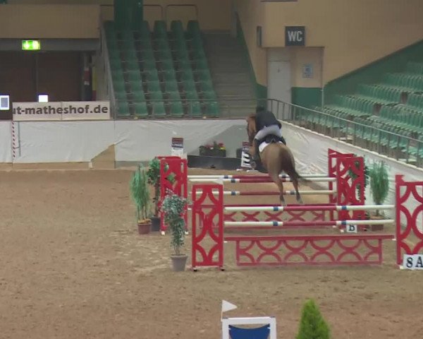 FEI Reitturnier Kreuth (GER) 2018
