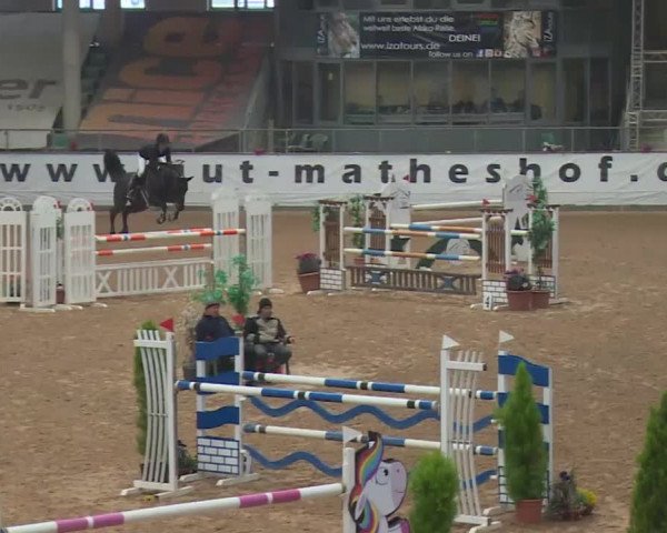 FEI Reitturnier Kreuth (GER) 2018