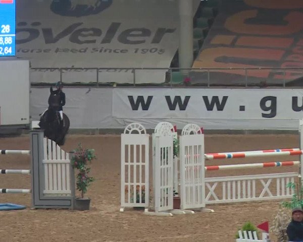FEI Reitturnier Kreuth (GER) 2018