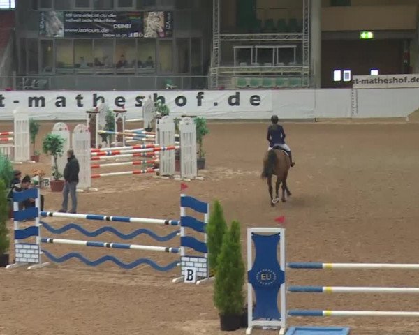 FEI Reitturnier Kreuth (GER) 2018