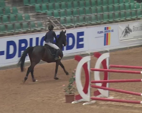FEI Reitturnier Kreuth (GER) 2018