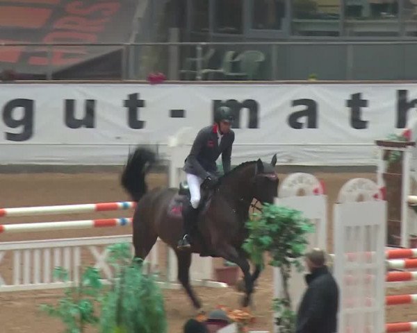 FEI Reitturnier Kreuth (GER) 2018
