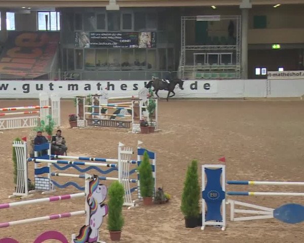 FEI Reitturnier Kreuth (GER) 2018
