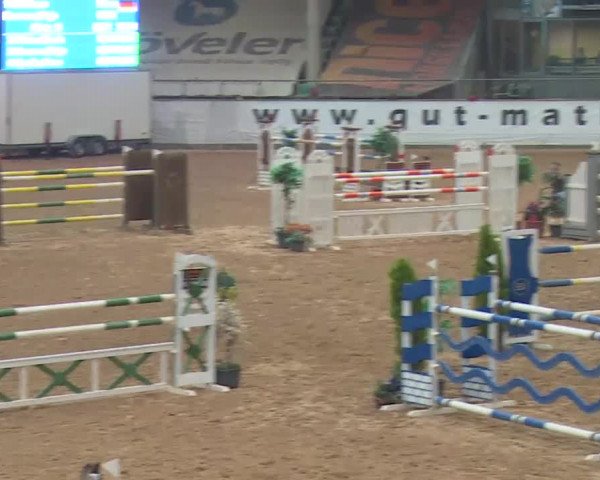 FEI Reitturnier Kreuth (GER) 2018