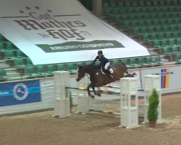 FEI Reitturnier Kreuth (GER) 2018