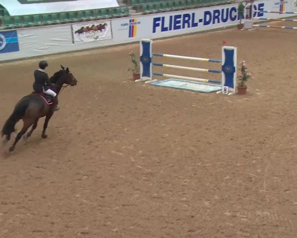 FEI Reitturnier Kreuth (GER) 2018