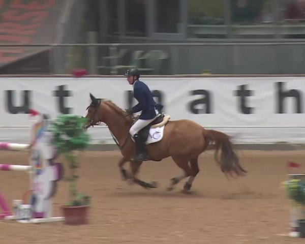FEI Reitturnier Kreuth (GER) 2018