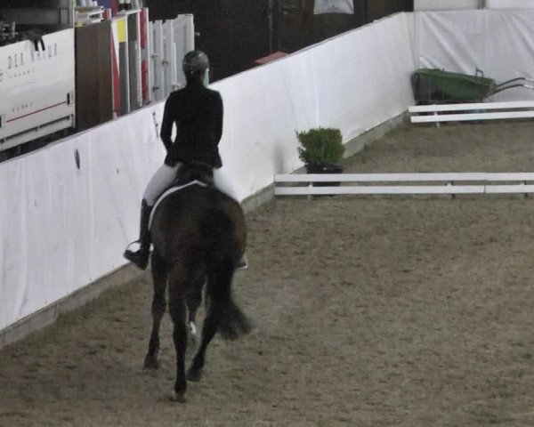 Reitturnier Viernheim 2018