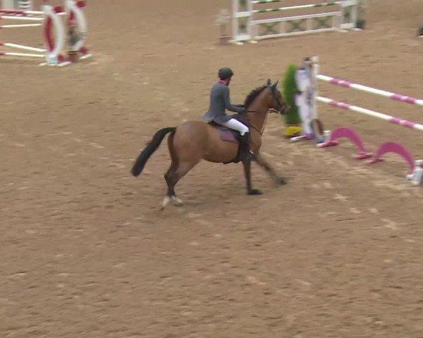 FEI Reitturnier Kreuth (GER) 2018