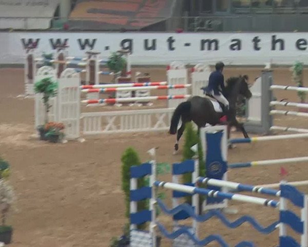 FEI Reitturnier Kreuth (GER) 2018