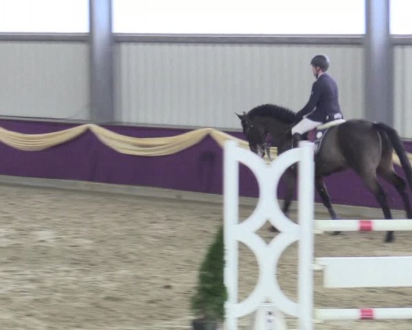 Reitturnier Arnsberg-Voßwinkel 2018