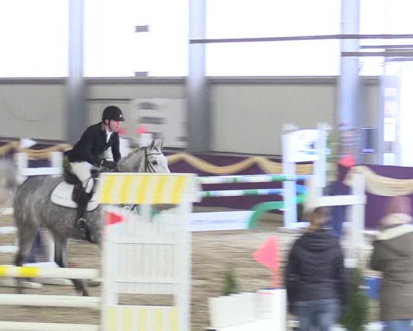 Reitturnier Arnsberg-Voßwinkel 2018