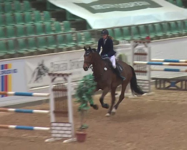 FEI Reitturnier Kreuth (GER) 2018