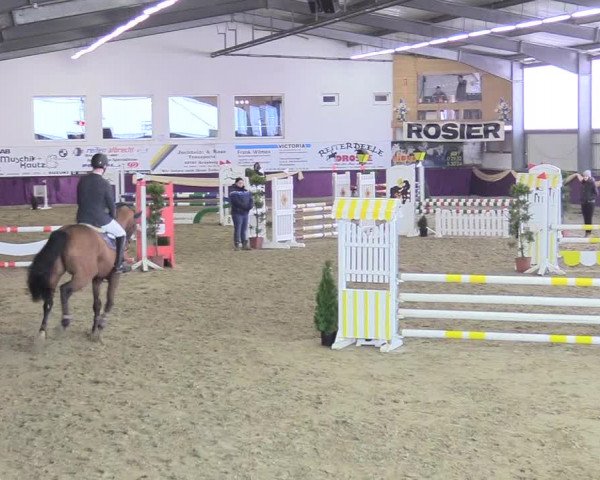 Reitturnier Arnsberg-Voßwinkel 2018
