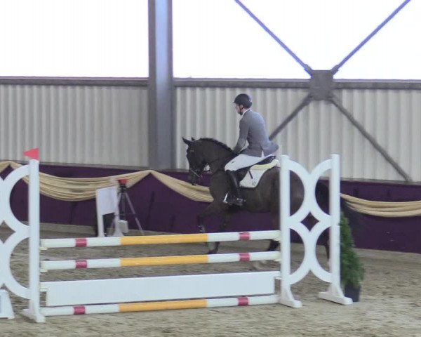 Reitturnier Arnsberg-Voßwinkel 2018