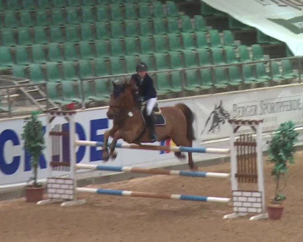 FEI Reitturnier Kreuth (GER) 2018