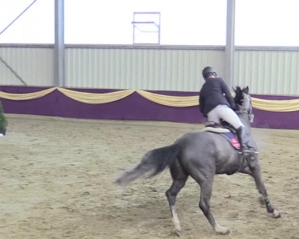 Reitturnier Arnsberg-Voßwinkel 2018