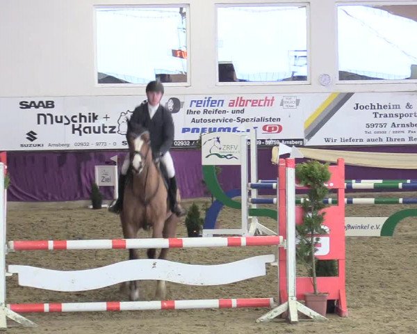 Reitturnier Arnsberg-Voßwinkel 2018