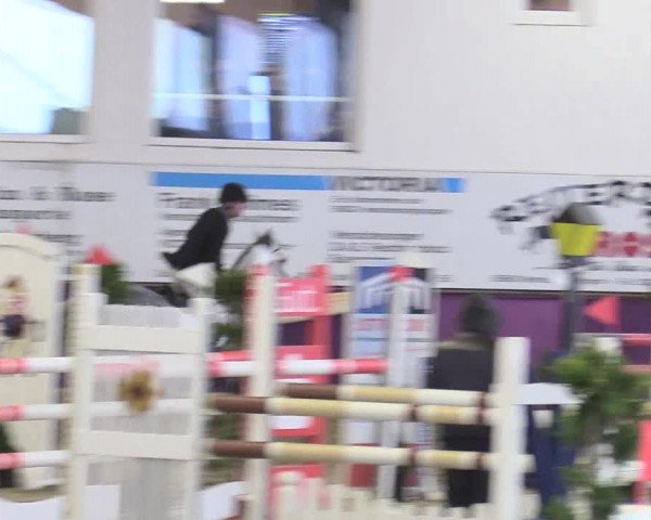 Reitturnier Arnsberg-Voßwinkel 2018