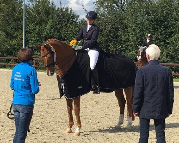 dressage horse Fulmer Feather Duster (Hanoverian, 2009, from Fürst Nymphenburg)