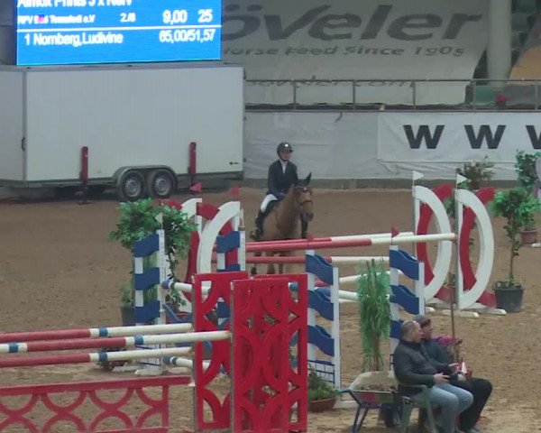 FEI Reitturnier Kreuth (GER) 2018