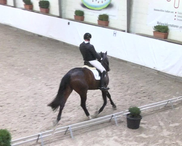 Reitturnier Viernheim 2018