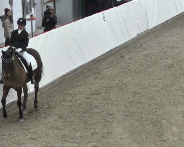 Reitturnier Viernheim 2018