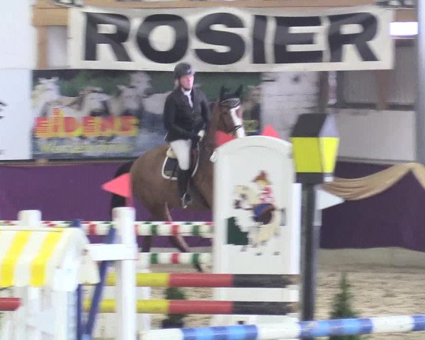 Reitturnier Arnsberg-Voßwinkel 2018