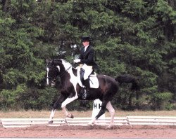 dressage horse Paula 62 (unknown, 1996)